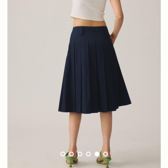 Anthropologie Pleated Midi Skirt - Picture 5 of 15